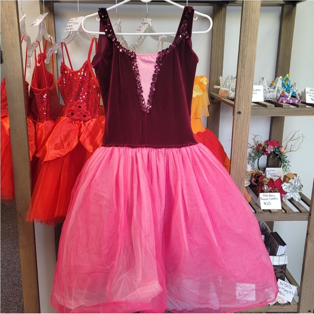 Tutu dance costume